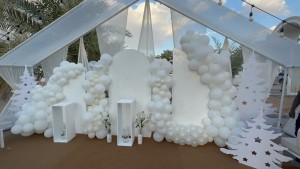 Snow white balloon arch 